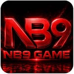 NB9 1 1